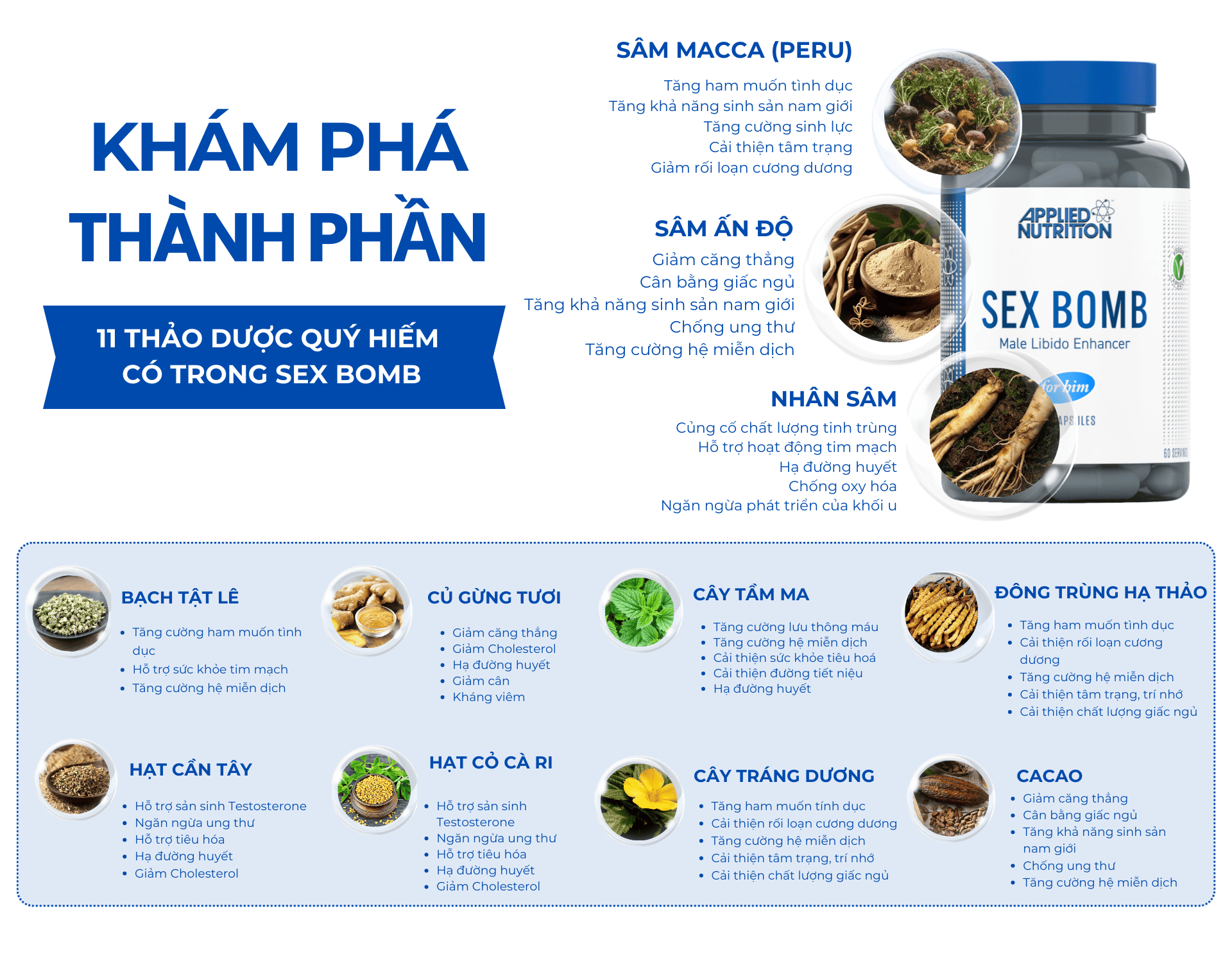 Sex Bomb – Hỗ trợ sức khỏe sinh sản nam giới Sex Bomb - Hỗ trợ sức khỏe sinh sản nam giới
